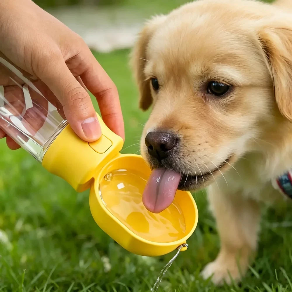 2-in-1 Pet Travel Bottle